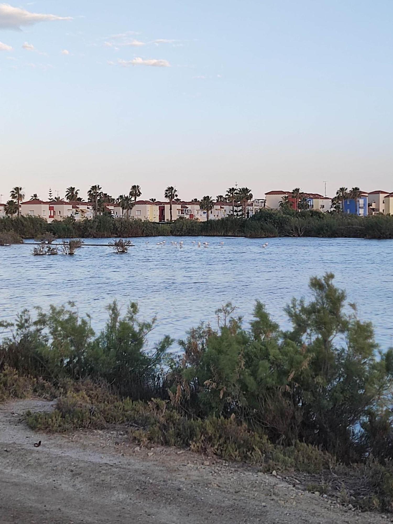 El Mirador De Torremari - Nudista - Vera Playa Kültér fotó